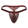 CandyMan String en dentelle Bachos Bordeaux